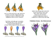 Faltbuch-Frühblüher Krokus – Der Winterschreck.pdf